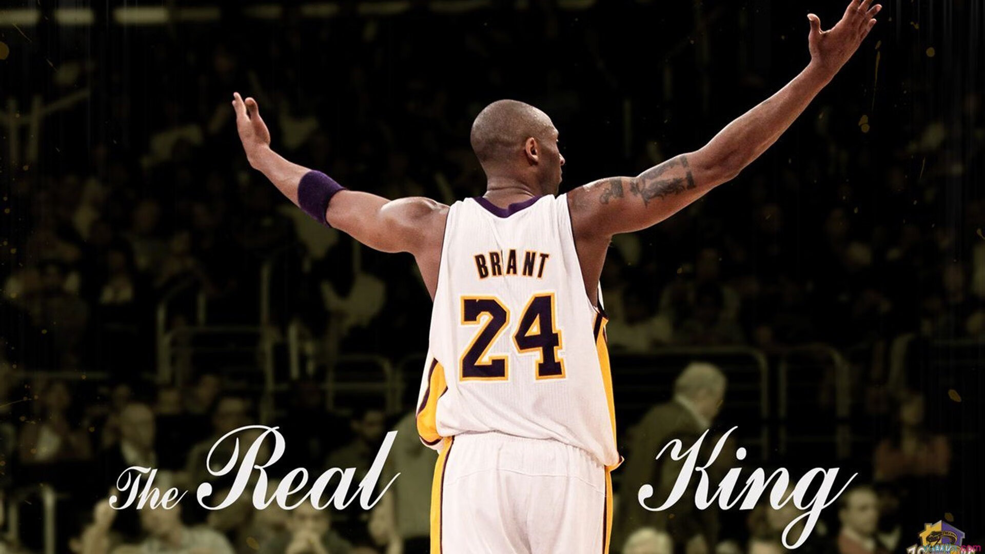 俱乐部社群运营创新活动提高粉丝忠诚度与转化率，俱乐部如何运作