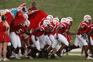 乐鱼全站-全国青少年长跑赛在南京掀起跑步热潮，青少年长跑标准